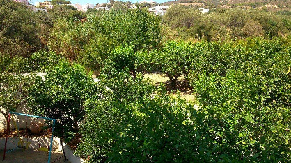 Kalathos Sun Hotel Eksteriør bilde