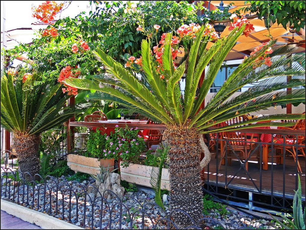 Kalathos Sun Hotel Eksteriør bilde